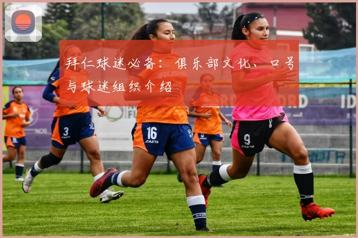 拜仁球迷必备：俱乐部文化、口号与球迷组织介绍