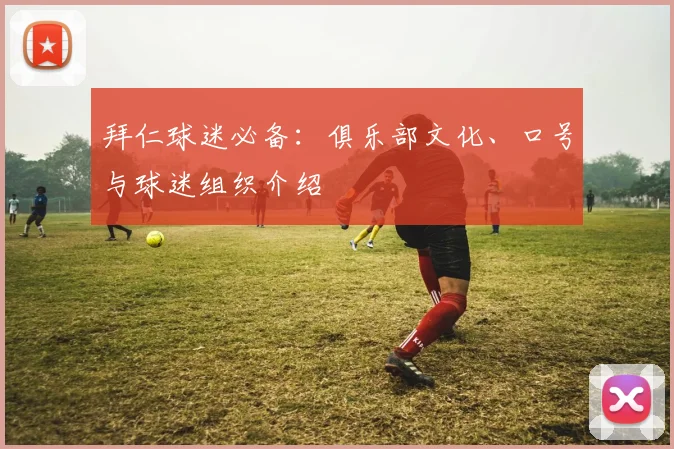 拜仁球迷必备：俱乐部文化、口号与球迷组织介绍